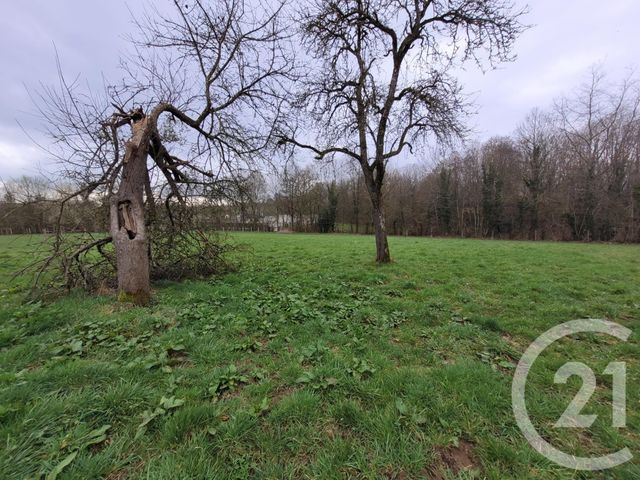 Afficher la photo en grand Maison à vendre - 5 pièces - 107,50 m2 - MAGNY LE DESERT - 61 - BASSE-NORMANDIE