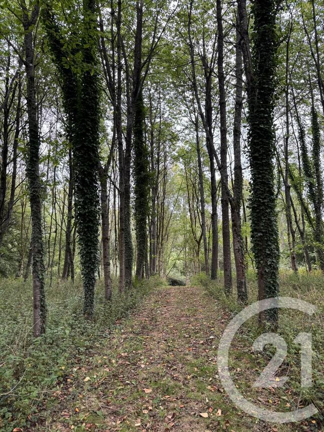 Maison à vendre - 4 pièces - 65,44 m2 - Dompierre - 61 - BASSE-NORMANDIE