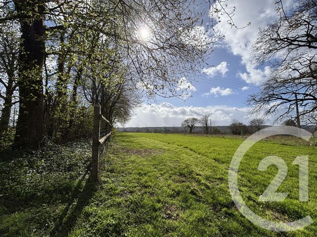 Maison &agrave; vendre - 7 pi&egrave;ces - 160,59 m2 - Les Monts D Andaine - 61 - BASSE-NORMANDIE