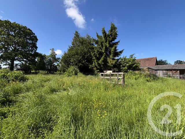 Maison &agrave; vendre - 8 pi&egrave;ces - 211 m2 - Ceauce - 61 - BASSE-NORMANDIE