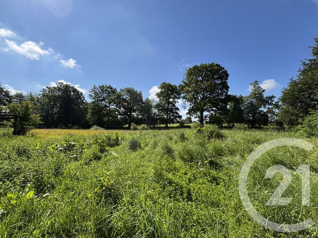Maison &agrave; vendre - 8 pi&egrave;ces - 211 m2 - Ceauce - 61 - BASSE-NORMANDIE