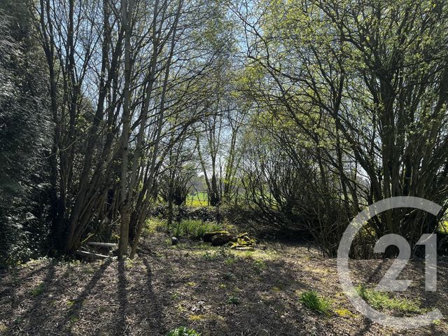 Maison à vendre - 6 pièces - 200 m2 - Domfront En Poiraie - 61 - BASSE-NORMANDIE