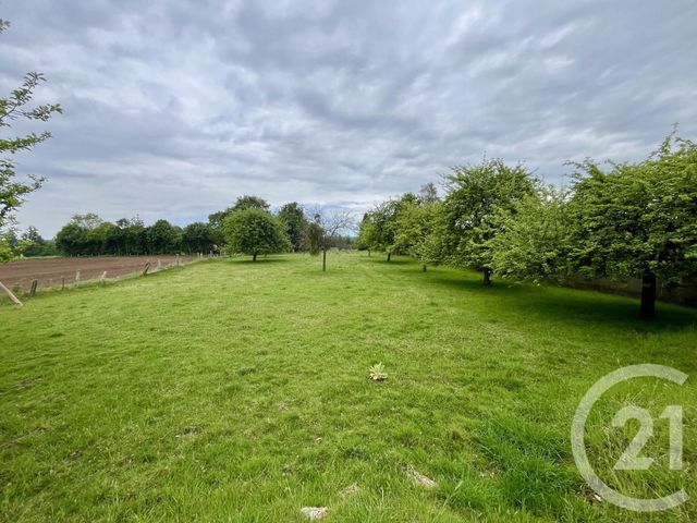 Maison &agrave; vendre - 6 pi&egrave;ces - 95 m2 - Domfront En Poiraie - 61 - BASSE-NORMANDIE