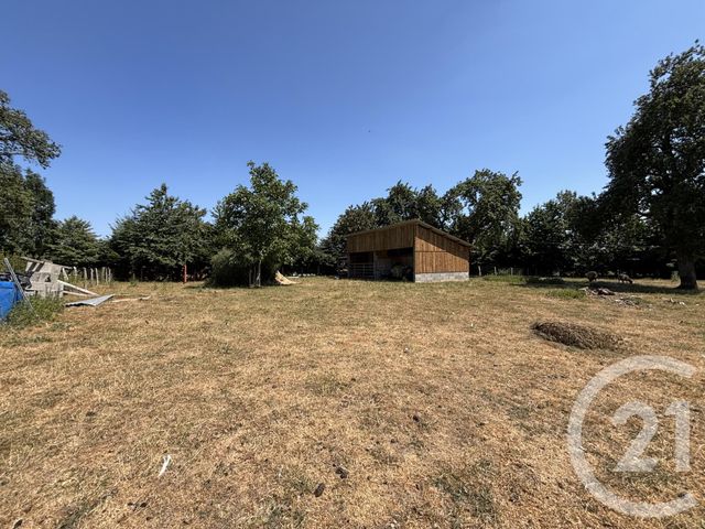 Maison &agrave; vendre - 8 pi&egrave;ces - 238,47 m2 - Torchamp - 61 - BASSE-NORMANDIE