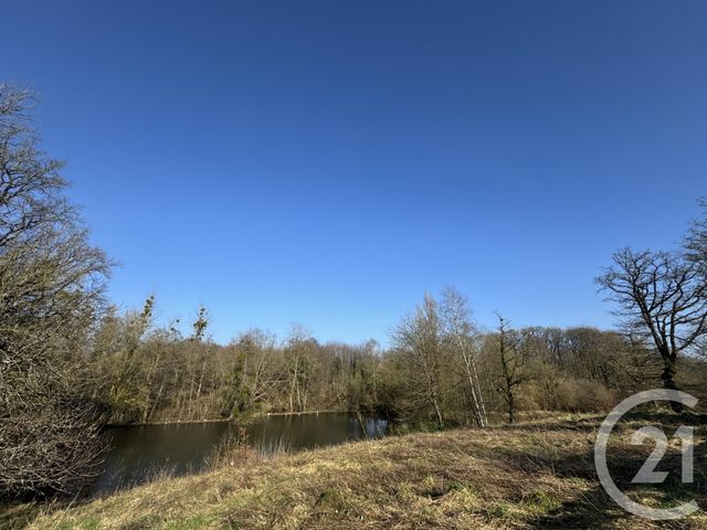 Maison &agrave; vendre - 11 pi&egrave;ces - 274 m2 - Lassay Les Chateaux - 53 - PAYS-DE-LOIRE